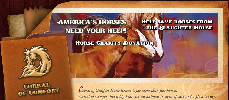 Corral of Comfort. Help our Horses