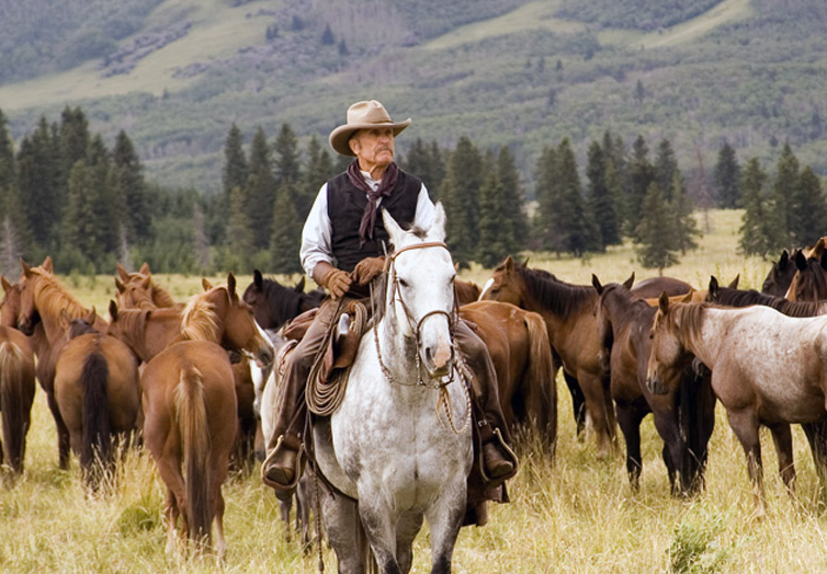 Robert Duvall - Hollywoods Last Cowboy